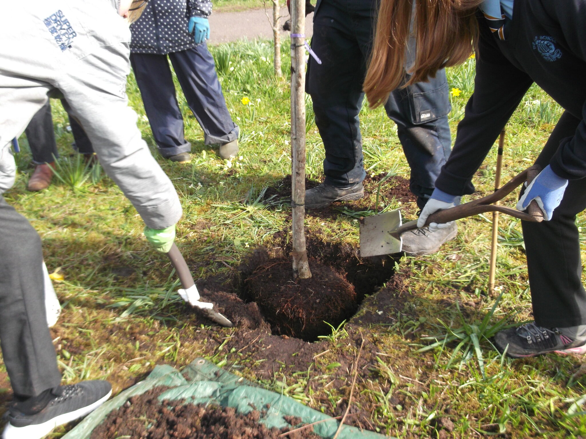 Projects - Growing Roots